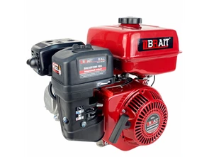 Двигатель BRAIT BR235P20M PRO (8 л.с., вал 20 мм) 03.01.235.035 в магазине Арсенал