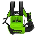 Воздуходувка аккумуляторная ранцевая GreenWorks GD40BPG2 40V (без АКБ и ЗУ) 2408107 в магазине Арсенал